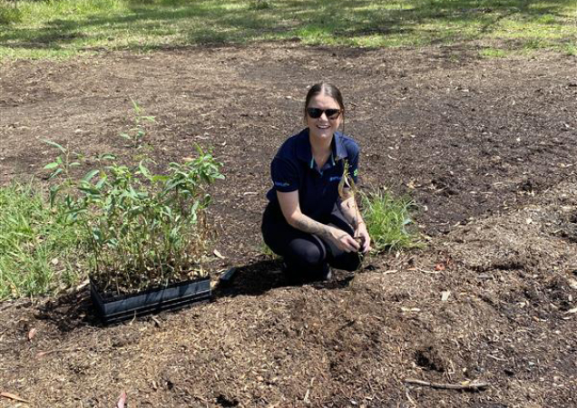 Volunteers planting a tree.